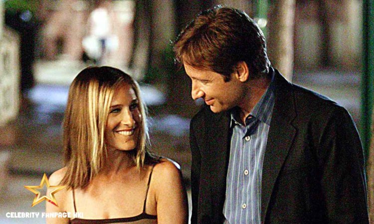 David Duchovny teria 'adorado' reprisar seu papel em Sex and the City: 'We Talked About Doing More'