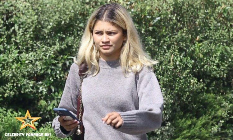 Zendaya desfruta de tempo de inatividade em Los Feliz depois de detalhar detalhes sobre a terceira temporada de ‘Euphoria’