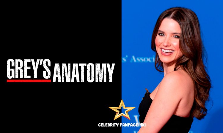 Sophia Bush se junta a 'Grey's Anatomy' como recorrente