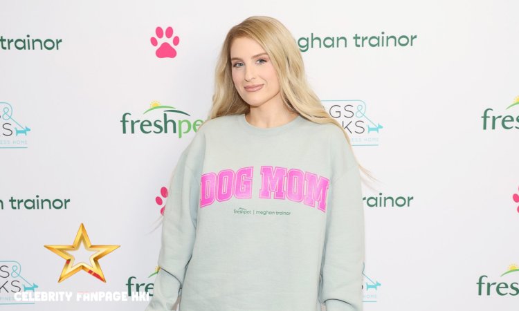 Meghan Trainor confirma que vai "colocar silicone" após amamentar e "perder peso"