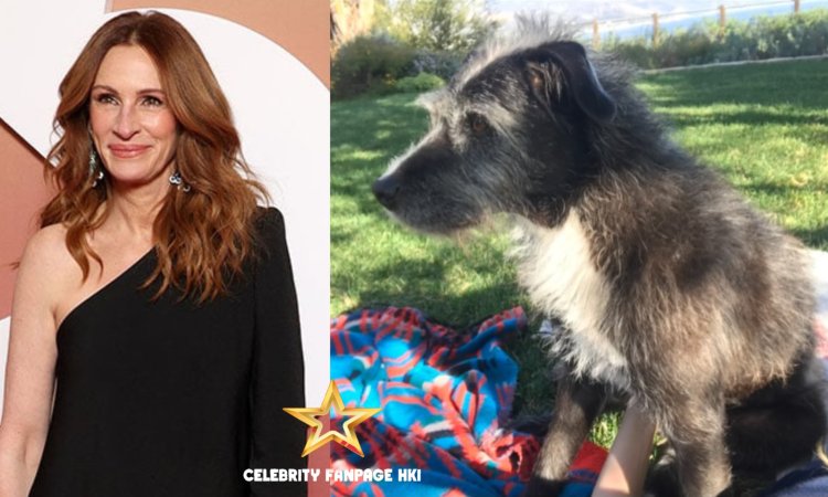 Julia Roberts lamenta a morte de sua amada cachorra Myrtle aos 19 anos